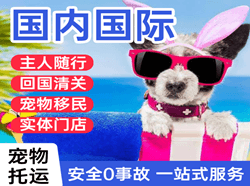 南昌机场托运国际宠物托运 【国